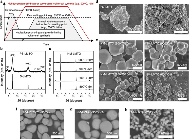 中煤榆林煤炭深加工基地项目Unipol聚丙烯装置挤压造粒厂房封顶-上游新闻|专塑视界|塑料在线
