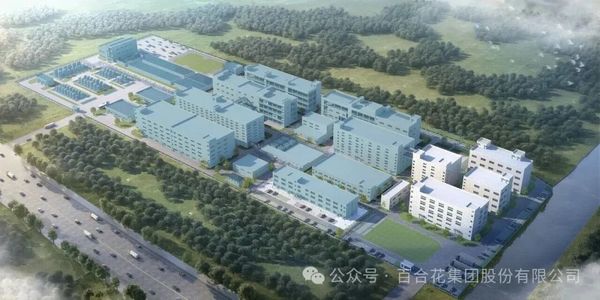 百合花集团落地千吨级PEEK材料项目 连片162亩产业基地赋能高端新材料转型