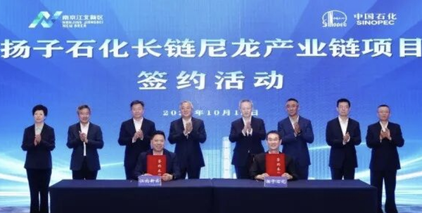 填补空白!中石化,超30亿布局