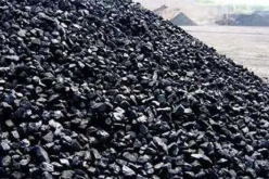 中国煤炭市场网