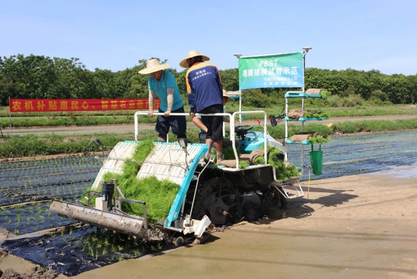 中石化PBST生物降解地膜累计应用面积突破20万亩