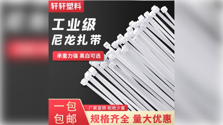 自锁式尼龙扎带 4*200耐寒白色 扎带厂家 捆绑带束线带打包带