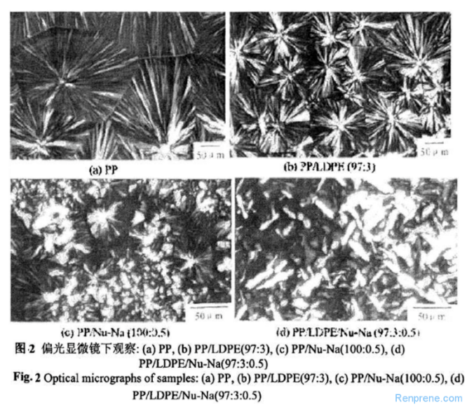 【干货】透明化≈高价值，颜值派宠儿PP透明改性的5种主要方法！-材料干货|Chatplas|塑料在线