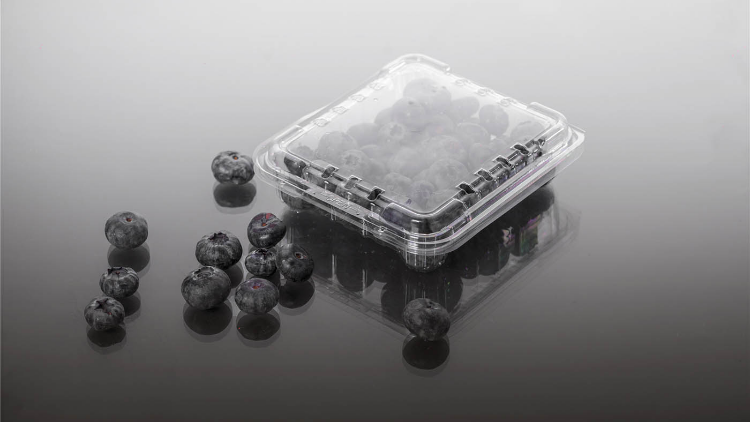 GL-125C2蓝莓包装盒