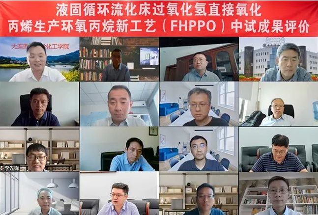 Dalian Institute of Chemical Technology's PO new process passed the evaluation of scientific and technological achievements