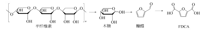 下一个千亿级市场规模化学品-生物基呋喃二甲酸（FDCA）？-可降解塑料|专塑视界|塑料在线