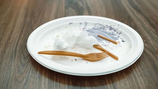 深圳先进院:掺入一种细菌,让PCL塑料6天内自我销毁