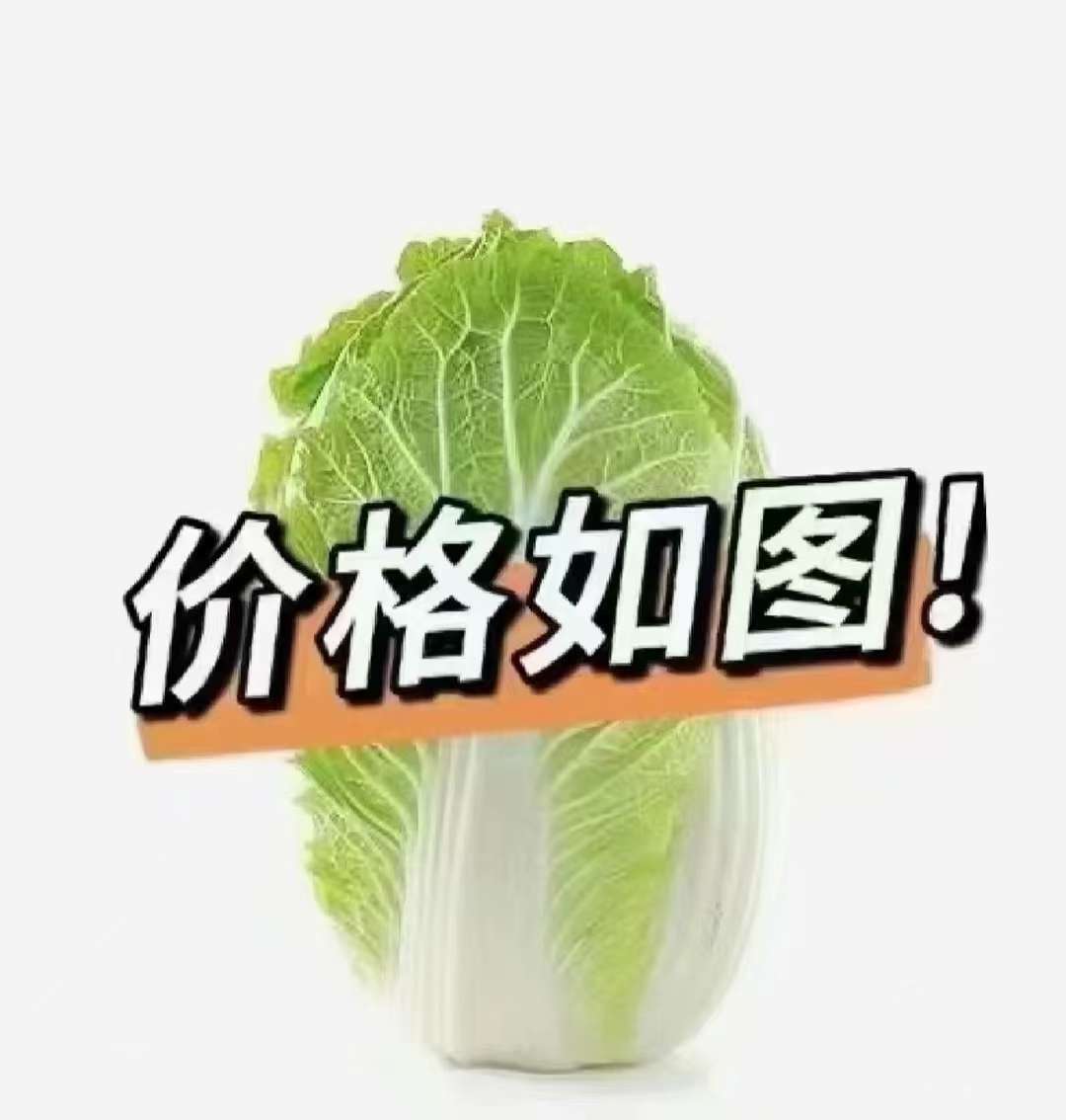 厂家直销PP高熔指颗粒PP无纺布颗粒三千多便宜处理了